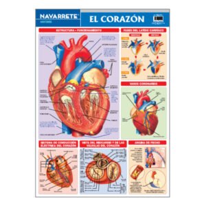 LÁMINA MURAL EL CORAZÓN