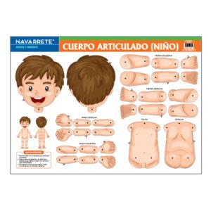 LAMINA MURAL CUERPO ARTICULADO NIÑO