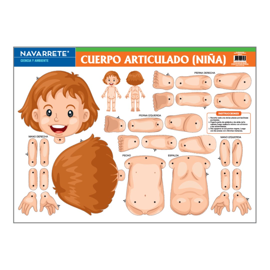 LAMINA MURAL CUERPO ARTICULADO NIÑA